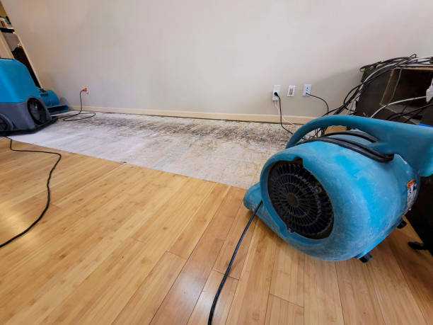 Professional Water Damage Repair technician working in San Bernardino, CA
